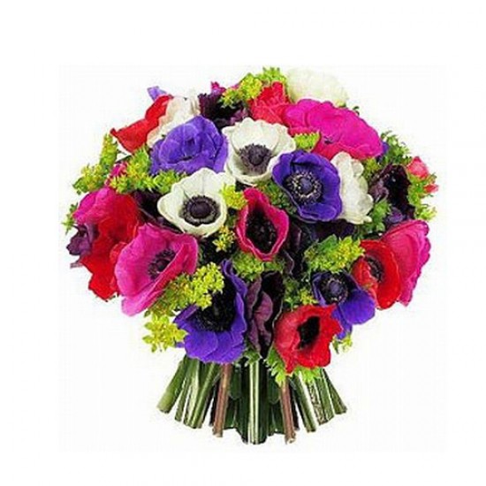 A Bouquet of Anemonew M30