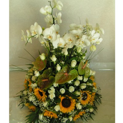 Flower Arrangement Αppolo VIP A14