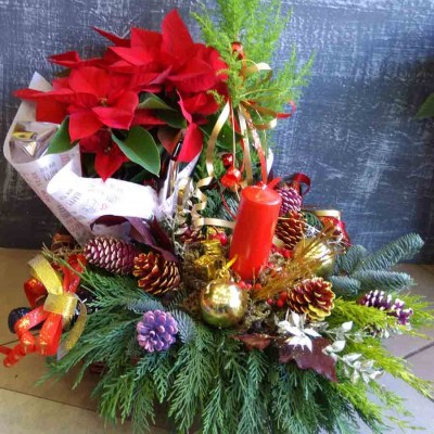 Χριστουγεννιάτικη σύνθεση SPECIAL Χ14